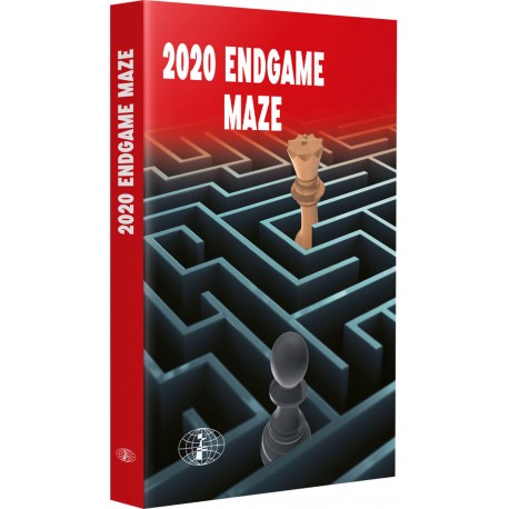2020 Endgame Maze (K-6049)