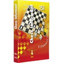 Chess Informant 151: Eternally Puzzled (K-353/151)