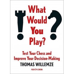 What Would You Play? - Thomas Willemze (K-6335)