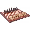 Chess Ambasador (S-13)