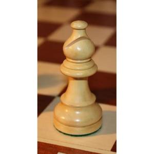 Chess Tournament no 6 American - International Chess Store CAISSA