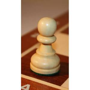 Chess Tournament no 6 American - International Chess Store CAISSA