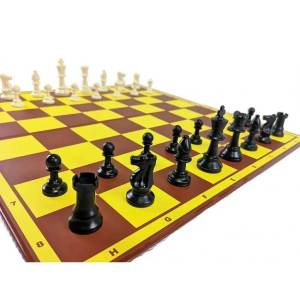 Plastic Chess Pieces No. 4 (S-51)