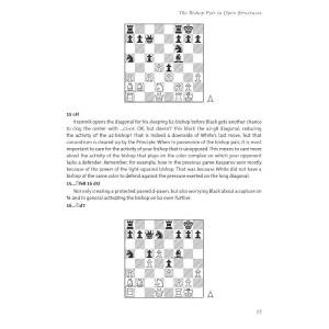 Exploiting the Bishop Pair - Cyrus Lakdawala (K-6487)