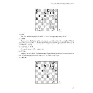 Exploiting the Bishop Pair - Cyrus Lakdawala (K-6487)