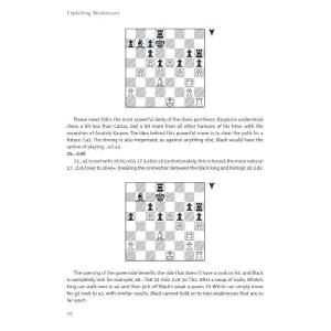 Exploiting Weaknesses - Cyrus Lakdawala (K-6489)