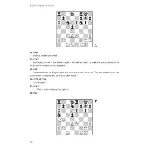 Exploiting Weaknesses - Cyrus Lakdawala (K-6489)