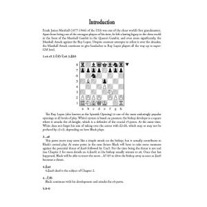 The Alterman Gambit Guide – Black Gambits 2 - Boris Alterman (K-6357)