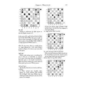 Tiger’s Chaos Theory - Tiger Hillarp Persson (K-6388)