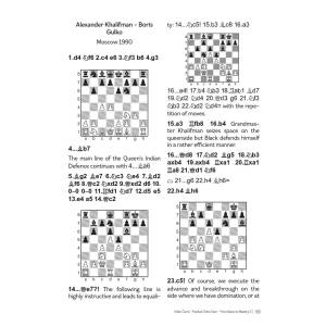 Practical Chess Tutor - From Basics to Mastery 2 - Srđan Čarnić (K-6408)