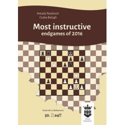 Most Instructive Endgames of 2016 With Extensive Analysis (K-5228/1)