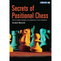 Drazen Marovic "Secrets of Positional Chess" (K-752/pos)